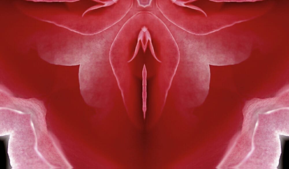  Wussten Sie das? 5 Fakten über die Vagina !